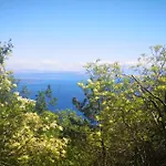 Gavan Cres